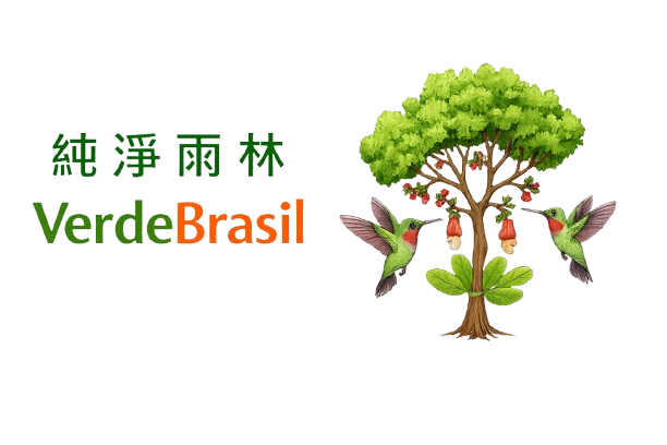 純淨雨林有限公司